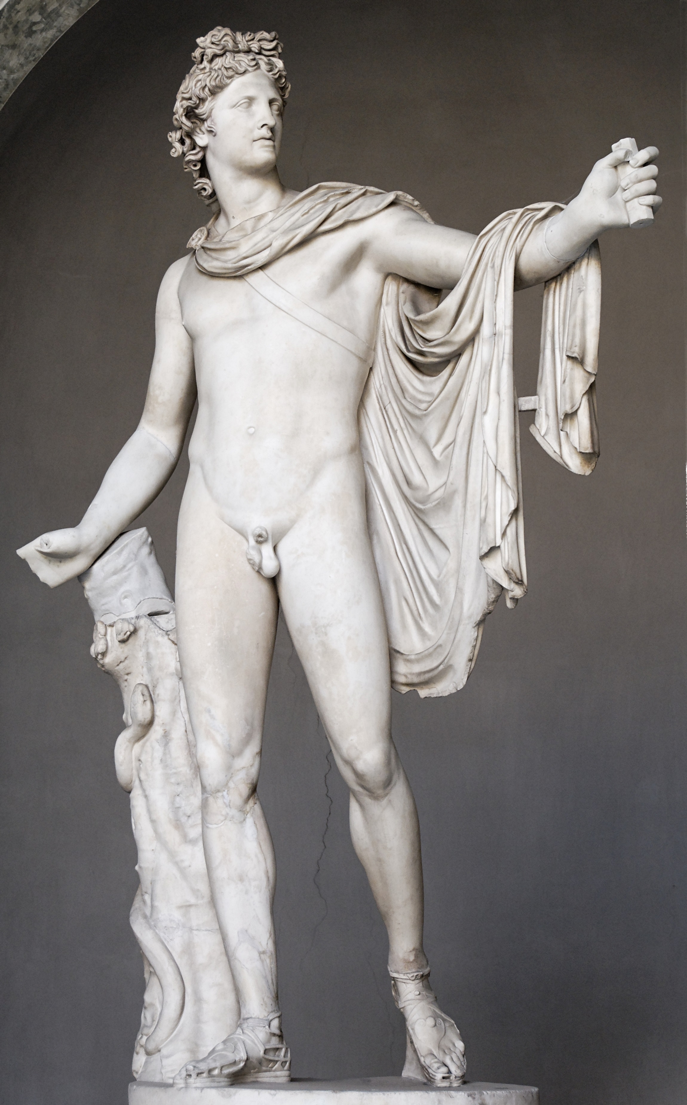 Leocare (attr.), Apollo del Belvedere. Statua, copia romana in marmo bianco di II secolo da un originale ellenistico, c. 350 a.C. Città del Vaticano, Musei Vaticani.